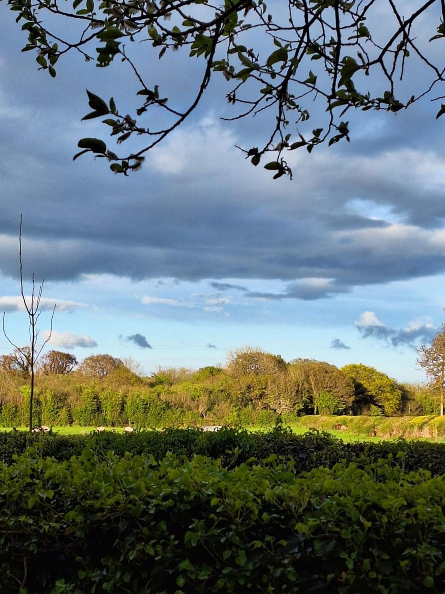 Ard Aoibhinn Roscommon Lecarrow Luaran gambar