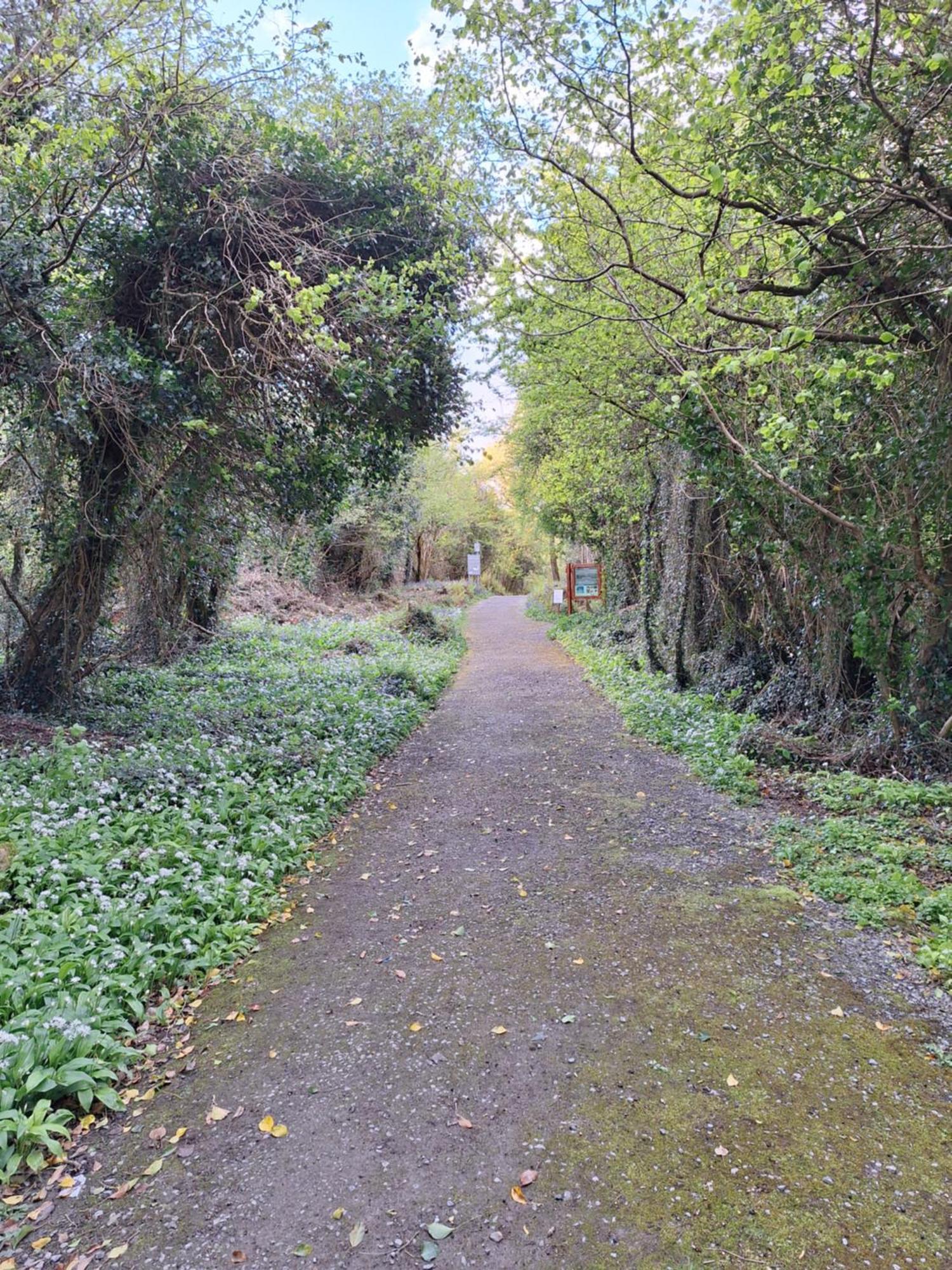 Ard Aoibhinn Roscommon Lecarrow Luaran gambar