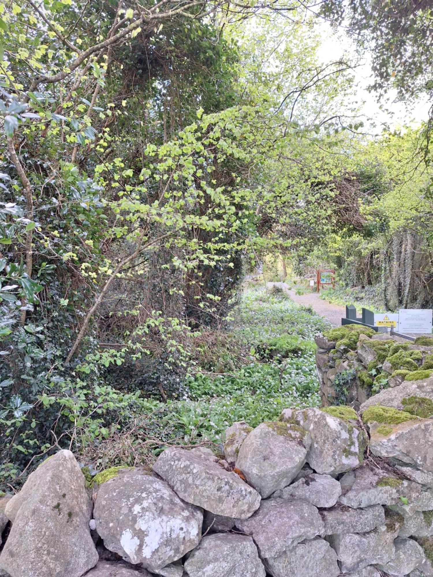 Ard Aoibhinn Roscommon Lecarrow Luaran gambar