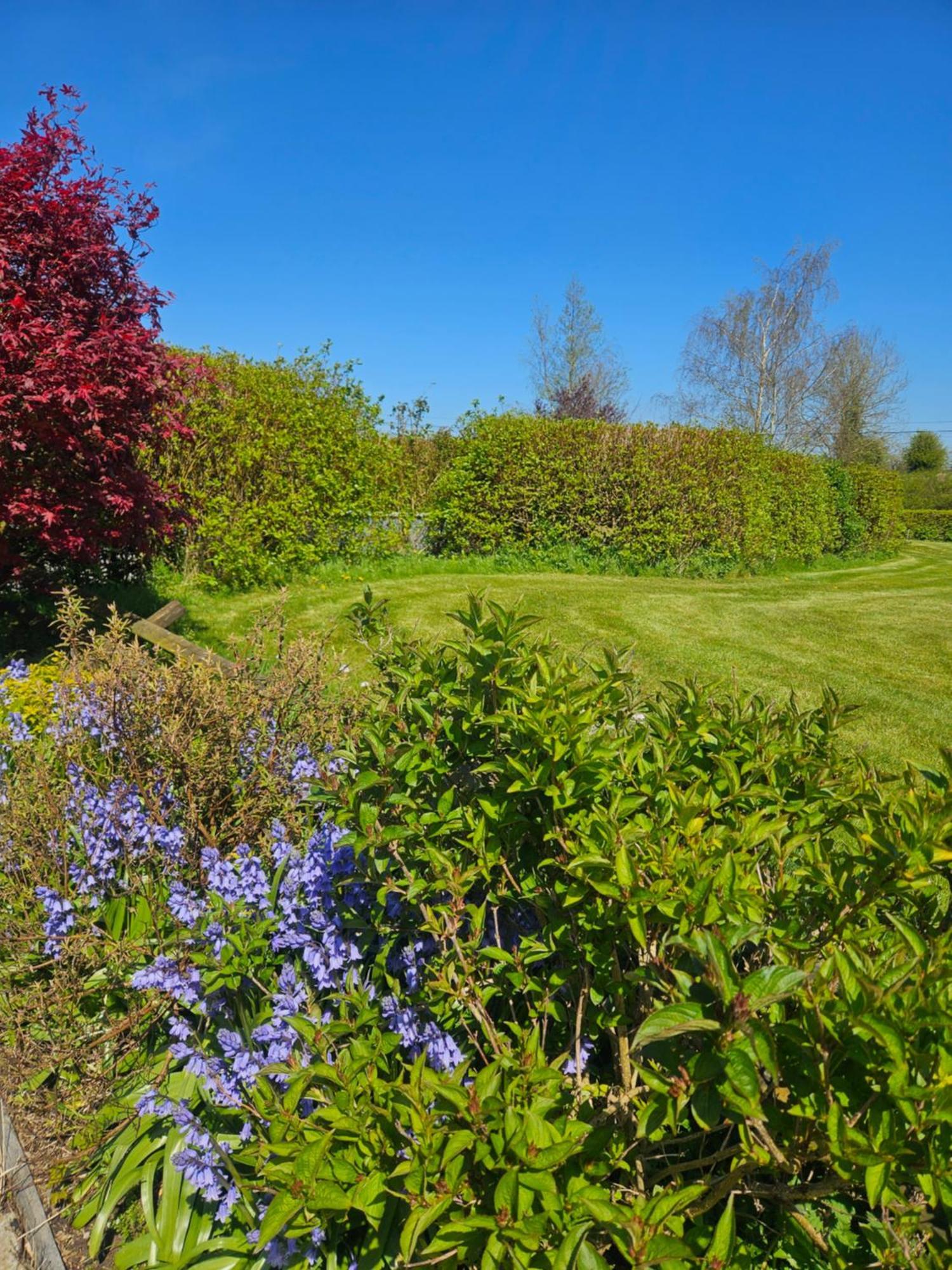 Ard Aoibhinn Roscommon Lecarrow Luaran gambar